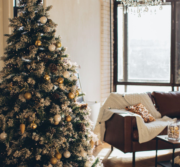 Creative Christmas Tree Ideas, DIY Decorations, and Gift Inspiration