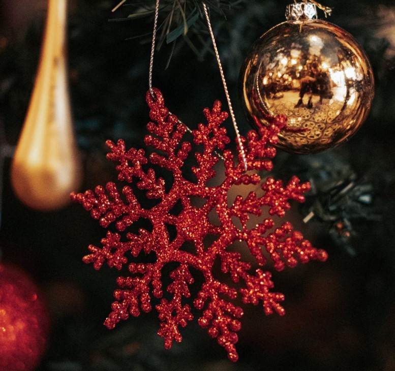 The King of Christmas Trees and Traditions